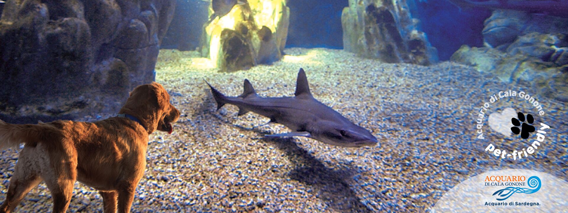 Acquario Pet Friendly...