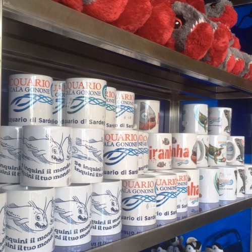 Gift Shop