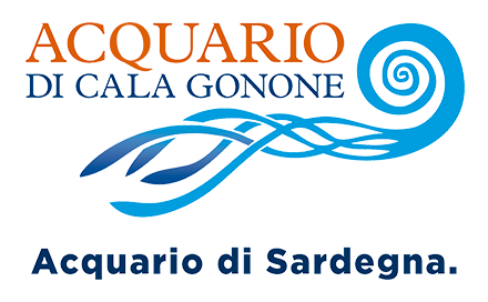 Acquario di Cala Gonone - L'acquario della Sardegna