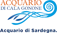 Acquario di Cala Gonone